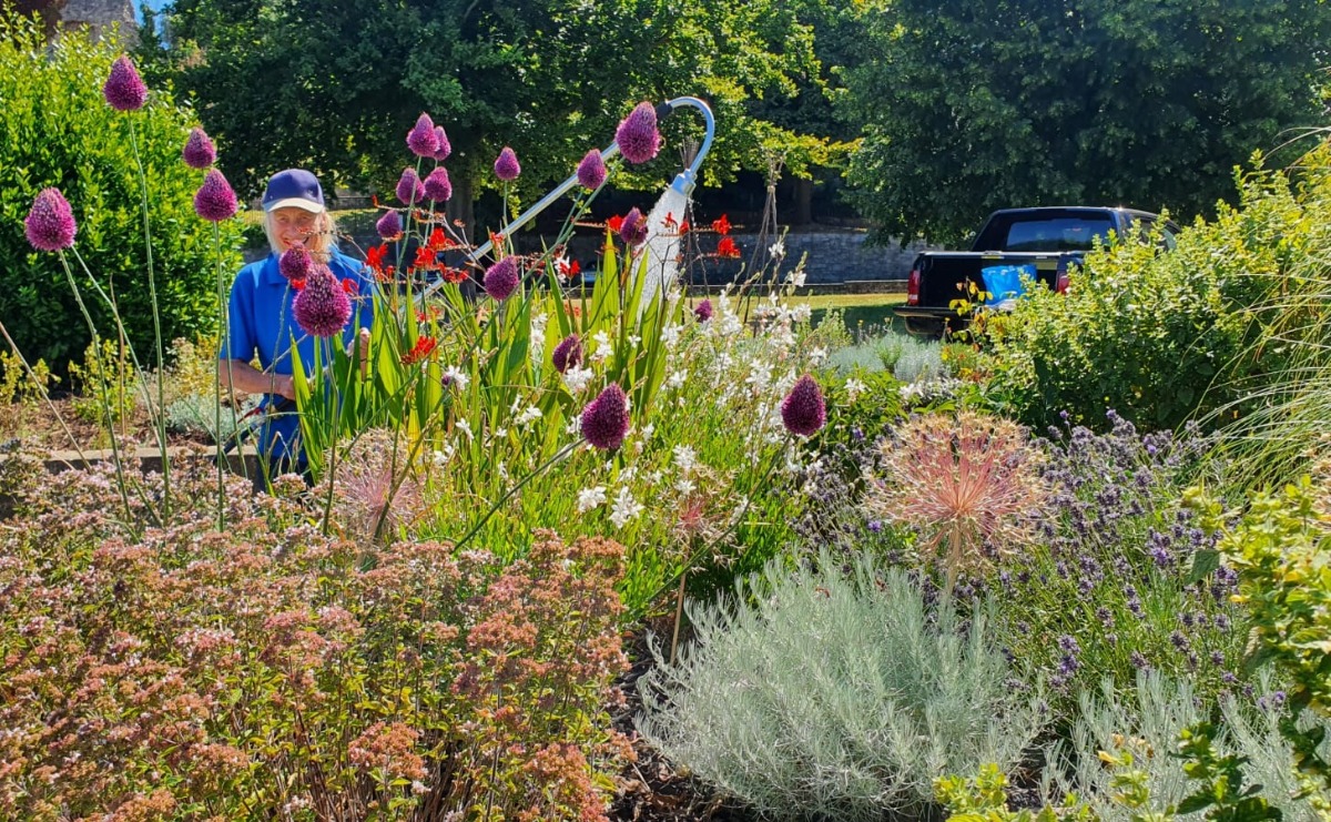 One of our volunteers waters a lush and healthy looking sensory garden