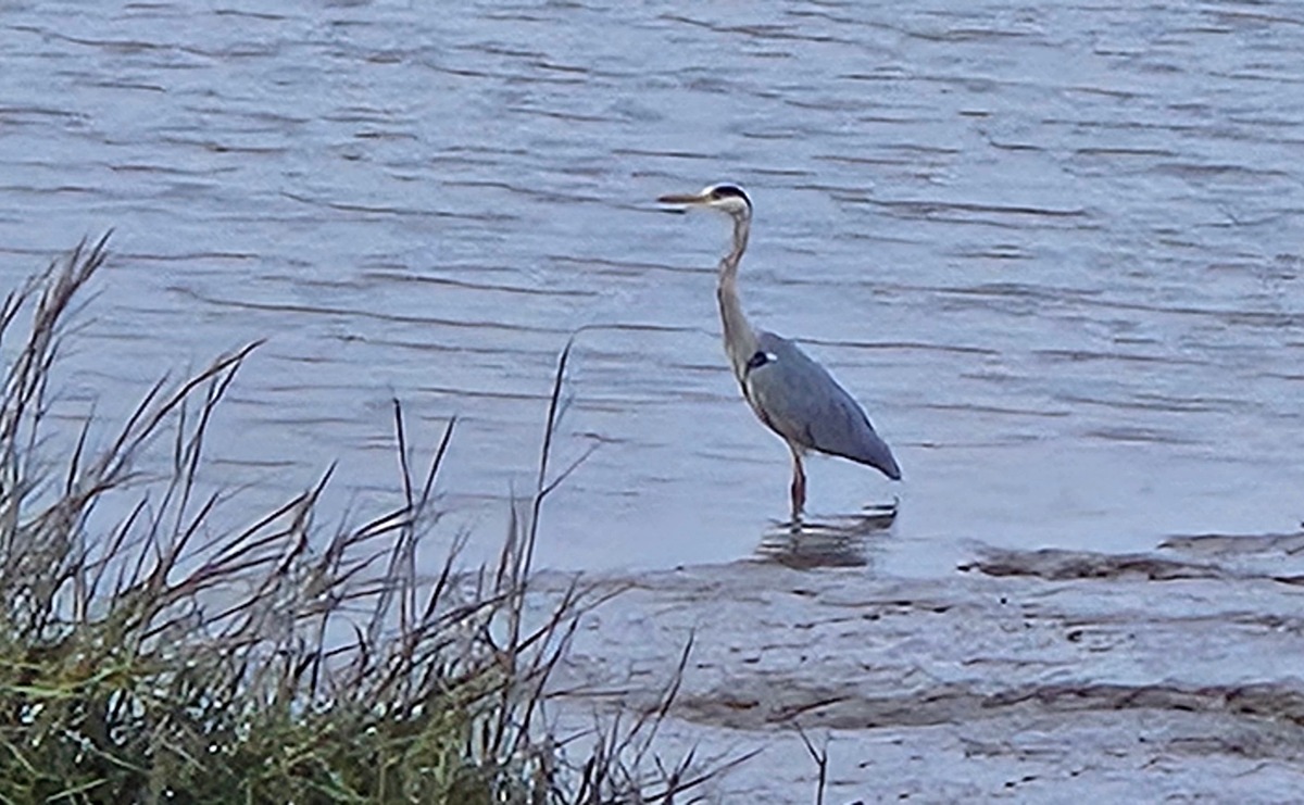 A view of the sun setting over the River Medway taken from Rochester Pier, with the pier's planters and benches visible, as well as moored boats