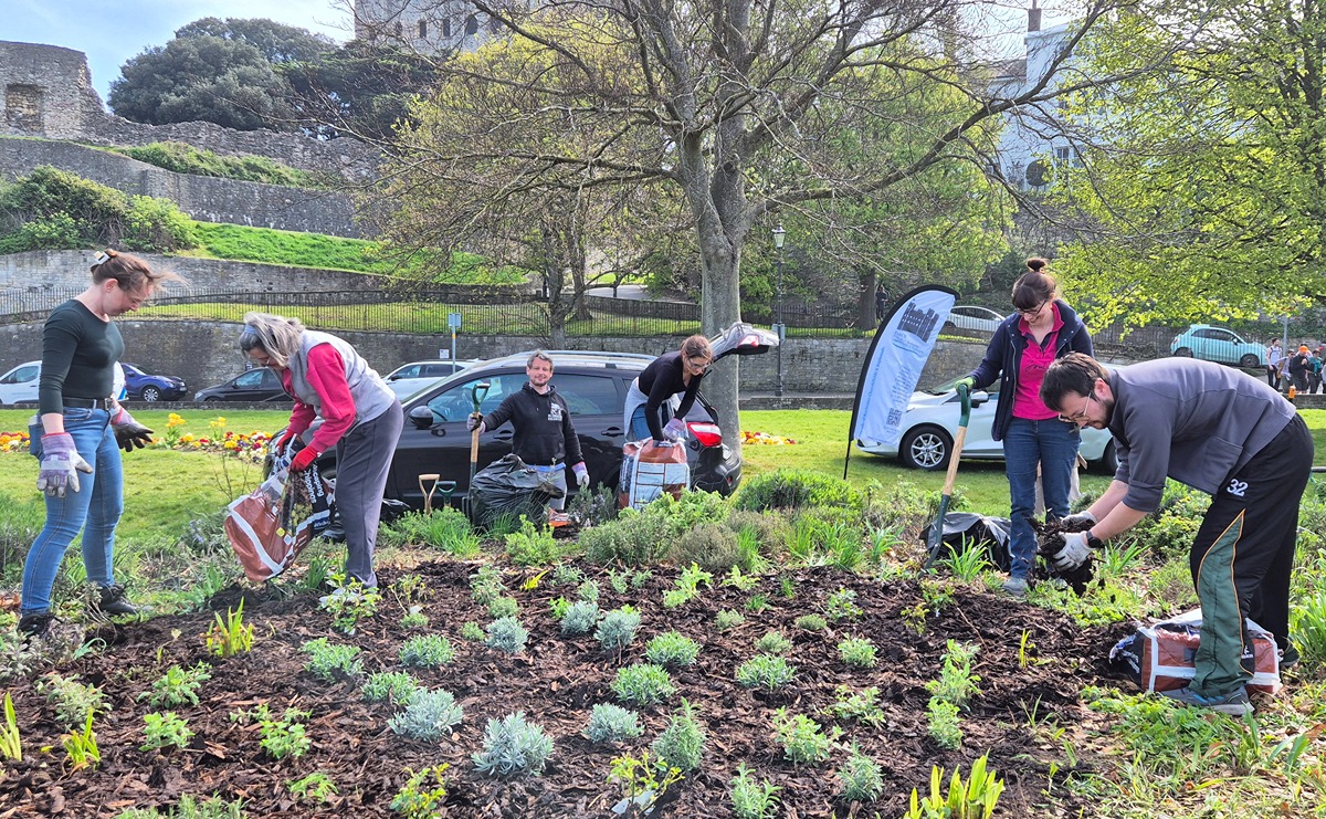 A group of our volunteers tend to the Suffragen Sensory Garden, with trees and Rochester Castle keep in the background