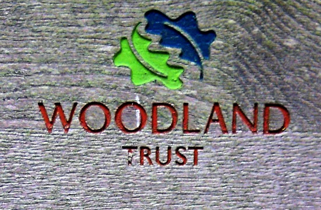 The Woodland Trust logo carved and painted into a piece of wood