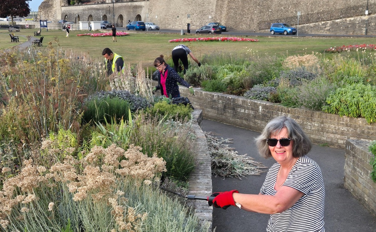 FoRCE volunteers working on the Suffrage Sensory Garden, with the walls of Rochester Castle in the background.